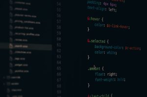 Choosing Sportsbook Software Providers for a Bitcoin Betting Brand