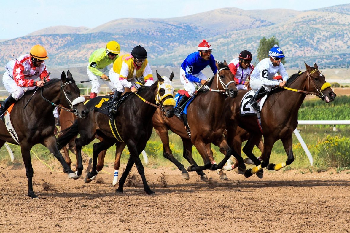 How Fractional Betting Odds Work With Real Payout Examples