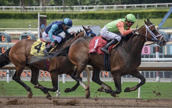 Stake Sportsbook Review: Where It Shines and Falls Short